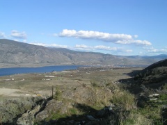 Looking South