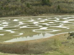 osoyoos_20050420_143_spotted_lake_2.jpg