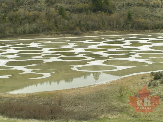 Circles of the lake