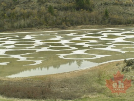 Circles of the lake