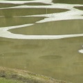 Close up of Spotted Lake