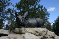 Moose Statue
