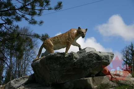 Cougar Statue
