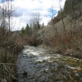 Jolly Creek