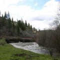 Jolly Creek