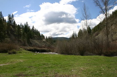 Fields of Green