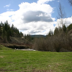 Jolly Creek