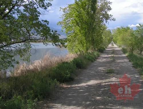 KVR near Ellis Station