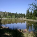 Reflections on Lake