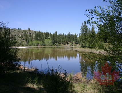 Reflections on Lake