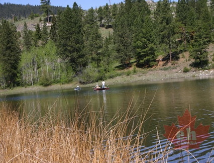 Flyfishing