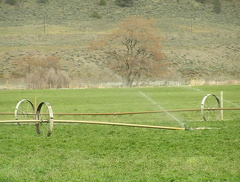 Irrigation