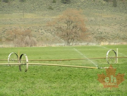 Irrigation