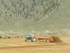 Cawston Farmer