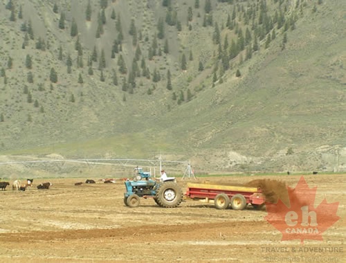 Cawston Farmer