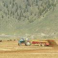 Cawston Farmer