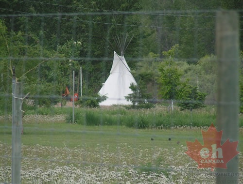 cawston_okanagan_similkameen_20050510_tee-pee.jpg