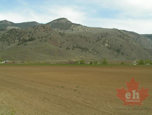 Preparing Fields