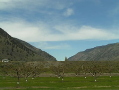 Blue Sky Orchards