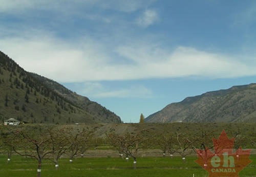 Blue Sky Orchards