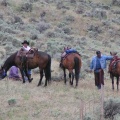 Cowboys