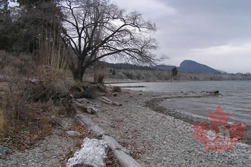 Pebbled Beach