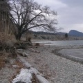 Pebbled Beach