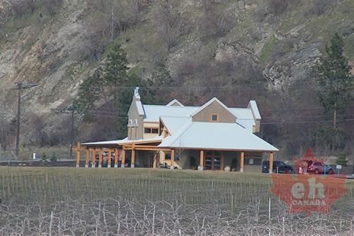 Vineyard