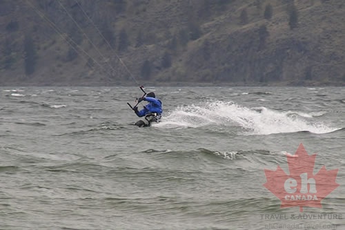 Wild Boarding in the Wind