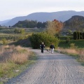 Dog Walking