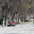Casual Walk Downtown