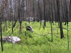Okanagan Mountain Park