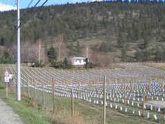 Winery