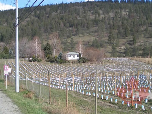 Winery
