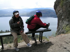 Cell Call on the KVR