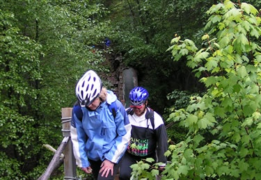 Tree Bridge