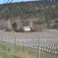 Winery