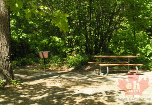 Picnic Site