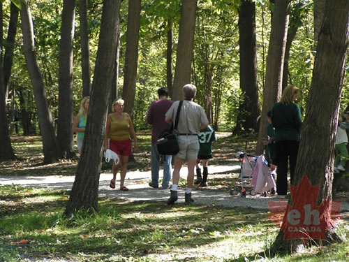 Hiking in Park