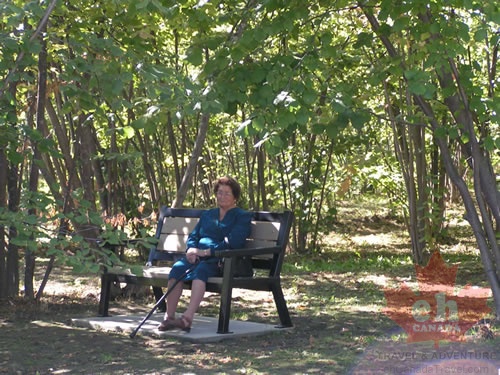 Sitting Bench