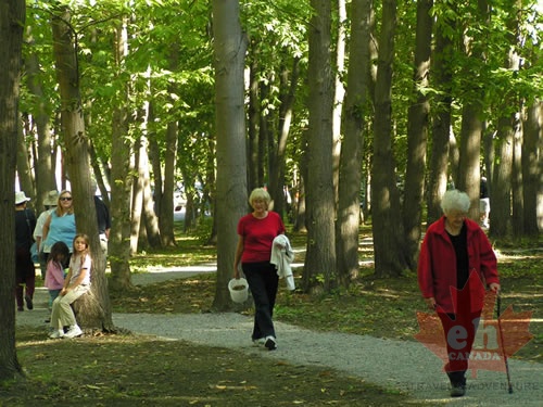 Walking the trails