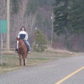 Fintry Horseback Riding