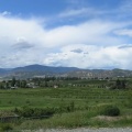 Fields of Orchards