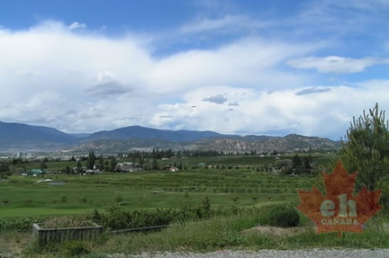 Fields of Orchards