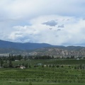 Vineyards
