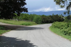 Country Roads