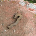 Rail Fastener