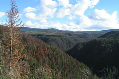 Outstanding Views