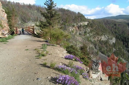 Trestle #17