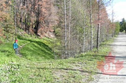 Tote Trail